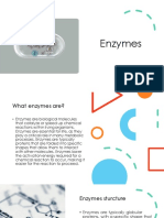 Enzymes Presentation