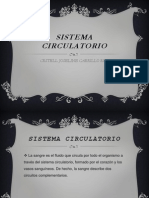 Sistema Circulatorio