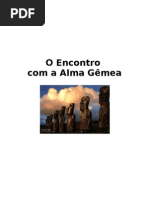 o Encontro Com a Alma Gemea
