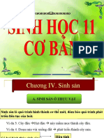 Sinh San Vo Tinh o Thuc Vat