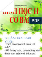 Bai 45 Sinh San Huu Tinh o Dong Vat