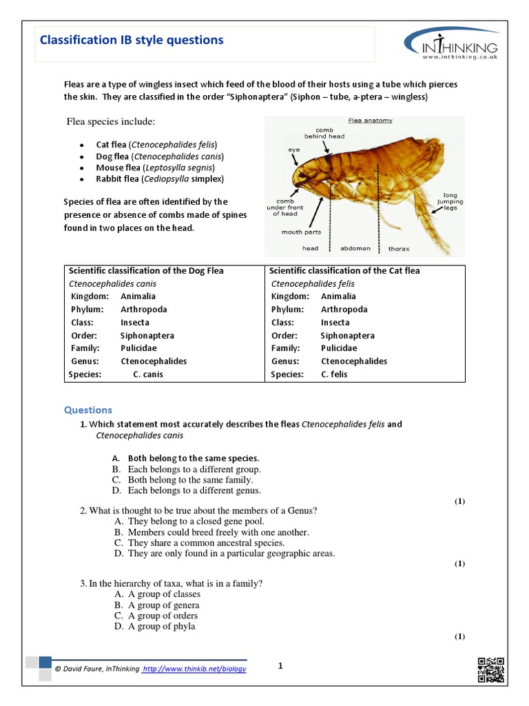 Classification Kpcofgs Ibstyle Qns 1 | PDF | Genus | Taxa