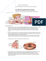 Sistem Pernafasan