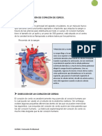 Practica Corazon - 2020