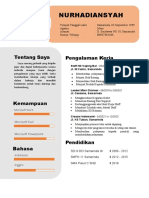 CV Template 0007