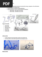 Mycology 2