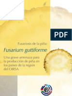 Sobre La Fusariosis Pina