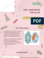 Metabolismo Celular - Expo1