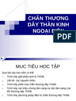 (123doc) - Chan-Thuong-Day-Than-Kinh-Ngoa-I-Bien-Ngoai-Than-Kinh