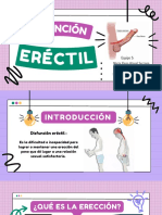 Disfunción Eréctil