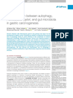 The Interaction Between Autophagy, Helicobacter Pylori, and Gut Microbiota in Gastric Carcinogenesis