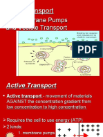 6 Active Transport 0809