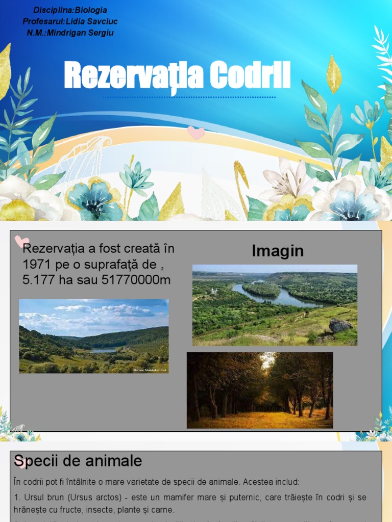 Rezervația Codrii | PDF