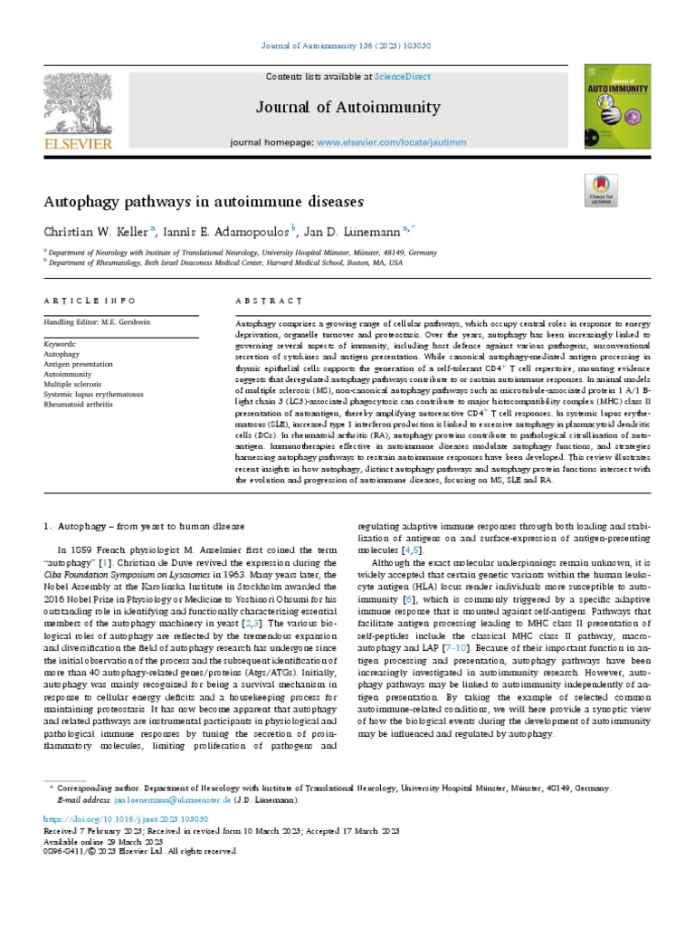 Autophagy Pathways in Autoimmune Diseases | PDF | Autophagy | T Cell