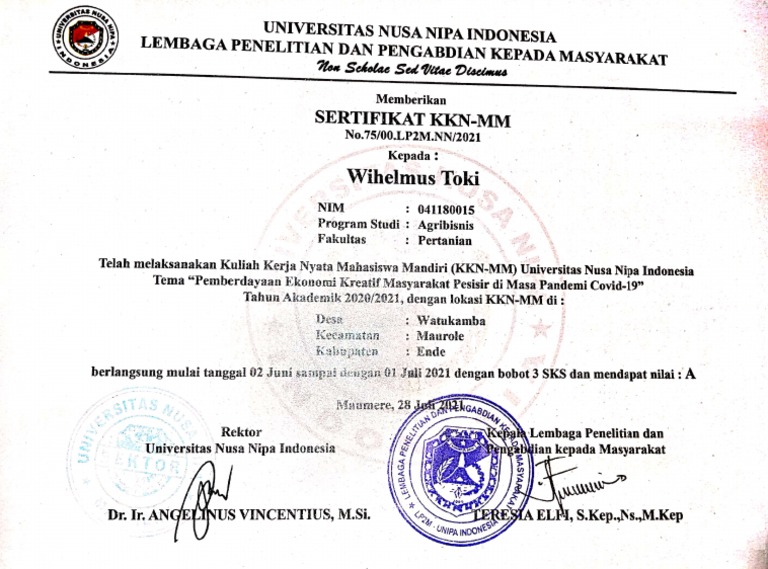 Sertifikat KKN | PDF