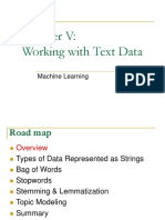 Chapter V - Working With Text Data
