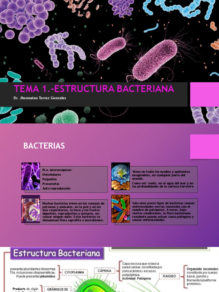 Estructura y Clasificación de Bacterias | PDF | Las bacterias | Infección