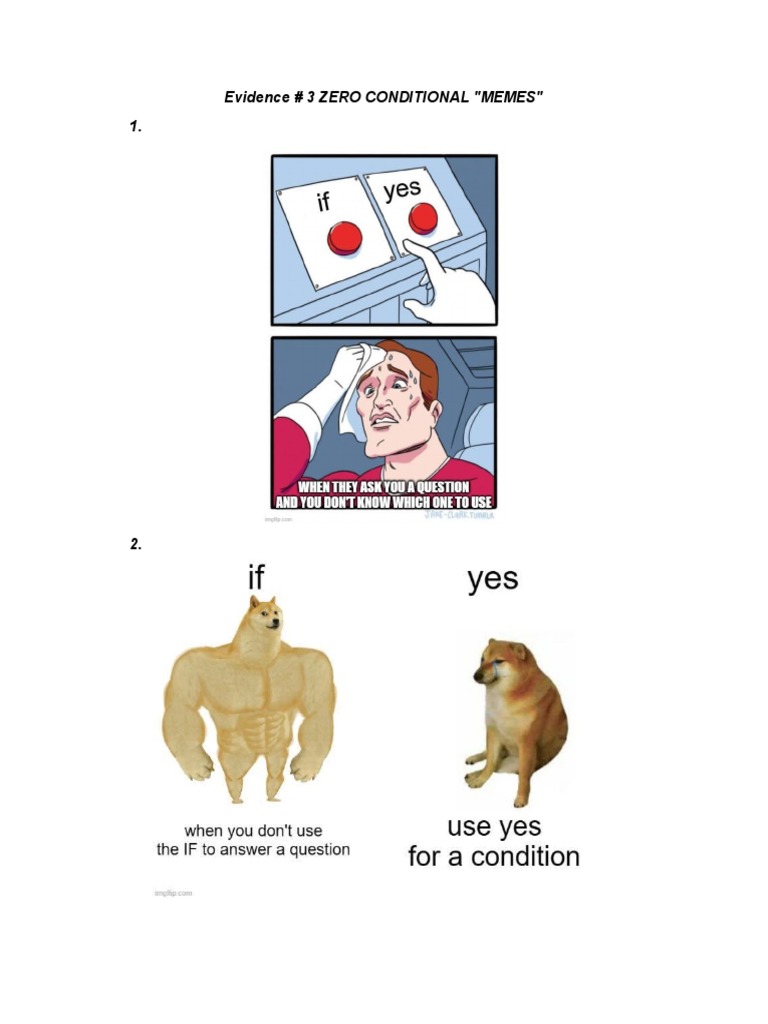 Evidence 3 ZERO CONDITIONAL MEMES | PDF