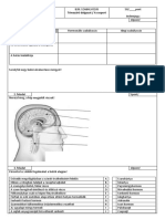 FI 505030801 1 - Biologia8TZ3