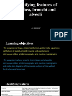 Identifying Parts of Respiratory System, As Level Bio