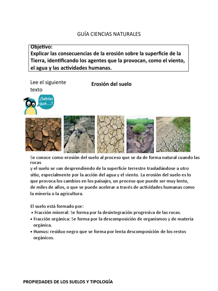 Erosión del Suelo: Causas y Consecuencias | PDF | Suelo | Erosión
