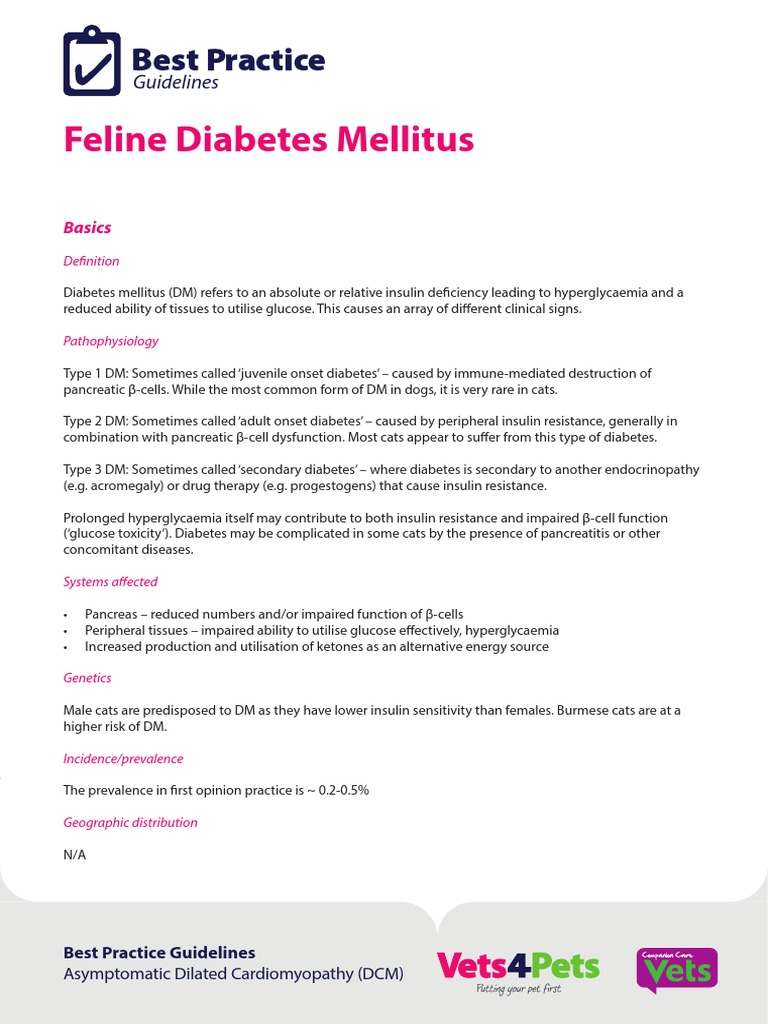 BPG Feline Diabetes Mellitus PDF Diabetes Hyperglycemia