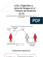 Detección, Diagnóstico y Tratamiento de Dengue en El Perú en Tiempos de Pandemia