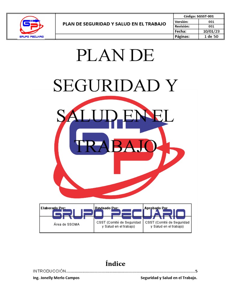 Plan de Seguridad y Salud Laboral | PDF | Seguridad y salud ocupacional ...