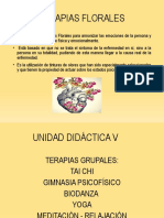 Diapo - Mec 2023-1-261-280 V Unidad