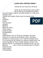 Cómo Realizar Una Limpieza Renal