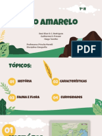 Rio Amarelo Geografia