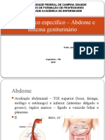 Exame Físico Específico - Abdome e Sistema Geniturinário