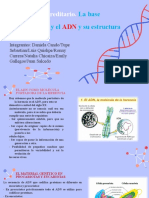 Bases Moleculares de La Herencia Grp1