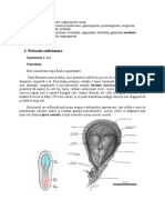 Embriologie Curs 3 Perioada Embrionara Nerulatia