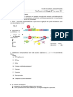 Ficha Formativa Regulação Da Expressão Génica