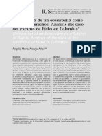 Declaratoria de Un Ecosistema Como Sujeto de Derechos. Análisis Del Caso Del Páramo de Pisba en Colombia