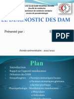 4 - Diagnostic Des Dam