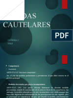 PP Procesos cautelares