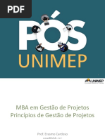 MBA GP PrincipiosGP 1 2