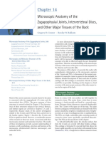 Microscopic Anatomy of The Zygapophysial Joints, Intervertebral Discs, and Other Major Tissues of The Back