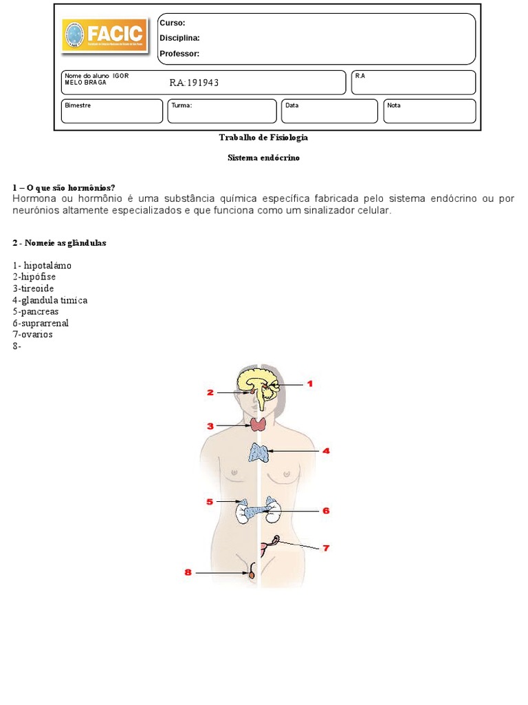 Atividade Sistema Endócrino | PDF