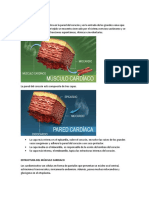 MÚSCULO CARDIACO Resumen