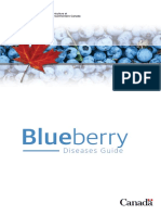 Blueberry Disease Guide