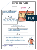 El Sentido Del Tacto para Segundo Grado de Primaria