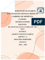 19-12-2022 Tema 4 Meninges Cerebroespinales y Sistema Ventricular (Tarea)