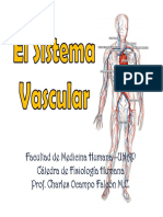 Sistema Vascular