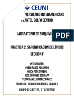 Practica 2. - Saponificacion de Lipidos