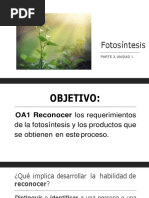 Ciencias 6°basico Fotosintesis