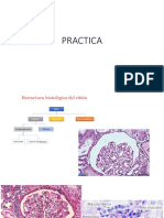 PRACTICA Patologia y Terapeutica 2021.IA