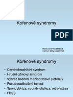 Kořenové Syndromy. MUDr - Dana Vondráčková Centrum Léčby Bolesti FNB
